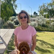 House Sitter - Experienced caring & pet/house sitter