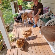 House Sitter - Travelling Grey Nomads.