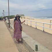 House Sitter - Happy Go Lucky Sitter