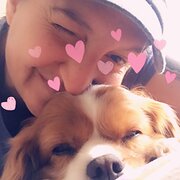 House Sitter - Stefania 