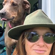 House Sitter - Creative Nomad & Trusted Pet Sitter