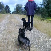 House Sitter - Michael and Elizabeth Mature Couple