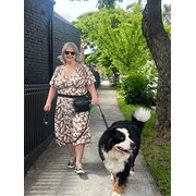 House Sitter - Happy Discreet Pet & Home Sitter