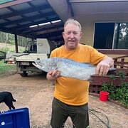 House Sitter - Busybee