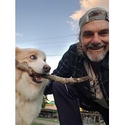 House Sitter - Easy going and capable 