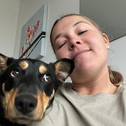 House Sitter - 5+ Years experience