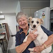 House Sitter - Trish