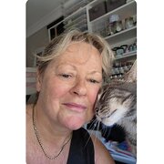 House Sitter - Friendly and responsible house sitter