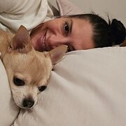 House Sitter - Kind, honest and happy