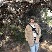 House Sitter - Friendly and responsible house sitter!