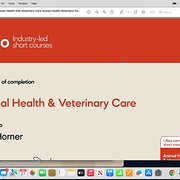 House Sitter - 100% Reliable