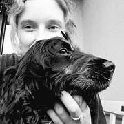 House Sitter - Loving, caring, experienced housesitters