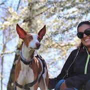 House Sitter - Trusted care, Tail wags and Global Love