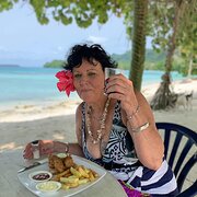 House Sitter - Mature  reliable House sitter- animal lo