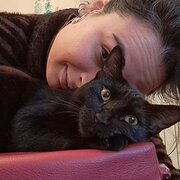 House Sitter - Amelia e Federico