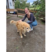 House Sitter - Looking for pet sitting :)