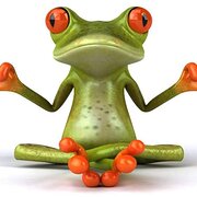 House Sitter - A J Mandalay