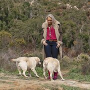 House Sitter - Mature, responsible, non smoker, non dri