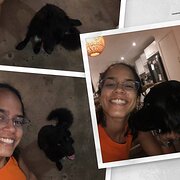 House Sitter - Fur & Fins 