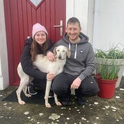 House Sitter - Professionally experienced sitters