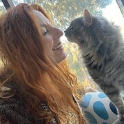 House Sitter - Beauty Connection Harmony