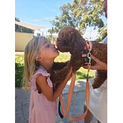 House Sitter - Trusted Full-Time Travelling Family of 3