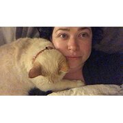 House Sitter - Diligent, caring housesitter / petsitter