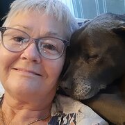 House Sitter - Iwander