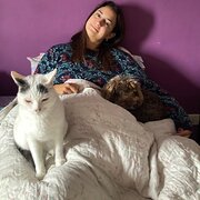 House Sitter - Care and paws