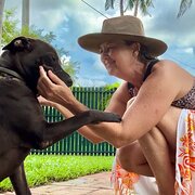 House Sitter - Exceptional!