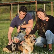 House Sitter - Italian couple 