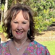 House Sitter - Willy Wagtail