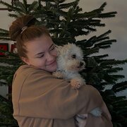 House Sitter - pet-caring traveller