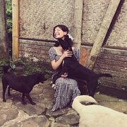 House Sitter - Caring and considerate pet sitter