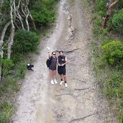 House Sitter - The Furry Guardians!