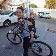 House Sitter - Furry friend sitters