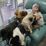 House Sitter - Erin - Solo Traveler