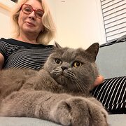 House Sitter - Retired professional who loves animals