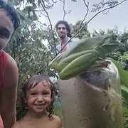 House Sitter - Caring Animal and Garden Lovers ❤️