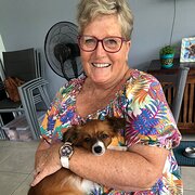 House Sitter - Happily retired