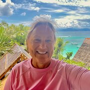 House Sitter - Carers for dogs and cats - all abilities