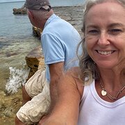 House Sitter - Solar Panel