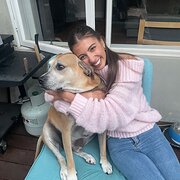 House Sitter - A calm and caring animal lover