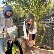 House Sitter - Trustworthy, Experienced Animal Lovers |