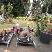 House Sitter - Jo happy housesitter pet lover