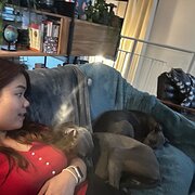 House Sitter - Judy C