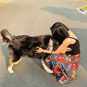 House Sitter - Melody