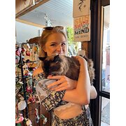 House Sitter - Reliable couple who loves all animals!