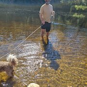 House Sitter - Chris