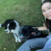 House Sitter - Reliable animal lover